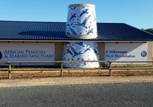  African Penguin & Seabird Sanctuary